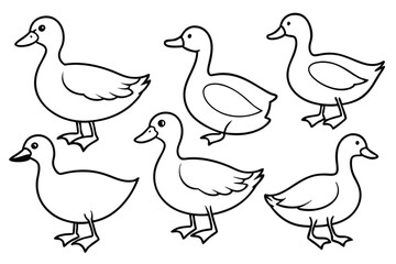 Fototapeta premium Duck line art illustration Design Concepts