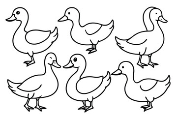 Duck line art illustration Design Concepts