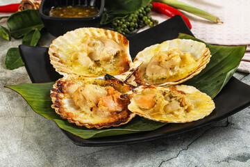 Griiled scallops in shell with cheese