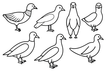 Elegant bird line art illustration