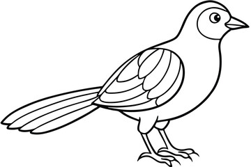 Elegant bird line art illustration