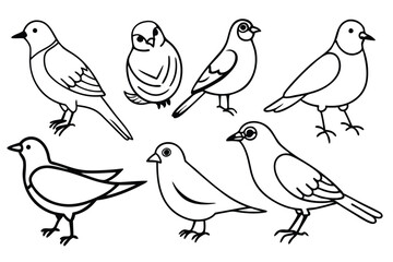 Elegant bird line art illustration