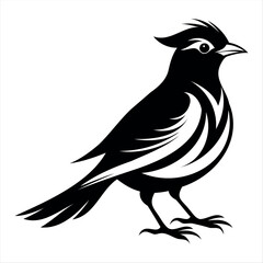 Vector Illustration Silhouette Beautiful Birds collection isolated on a white background