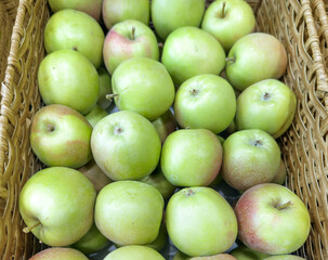 choosing fresh fruits (apples, pears)