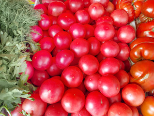 choosing tomatoes at the grocery store