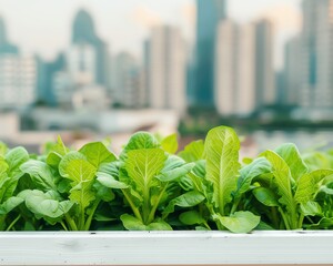 Rooftop farm above a bustling city park, urban agriculture, reducing urban noise