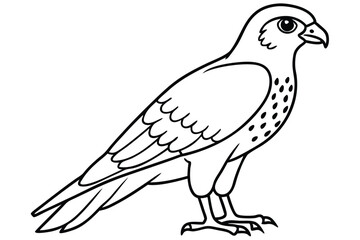 Falcon line art illustration Design Concepts