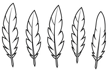 Feather line art illustration Design Concepts