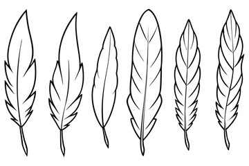 Feather line art illustration Design Concepts