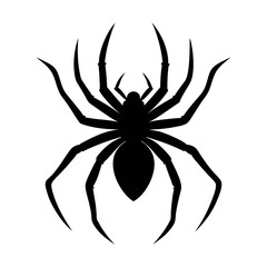 a black and white drawing of a spider