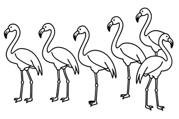Flamingo bird line art illustration
