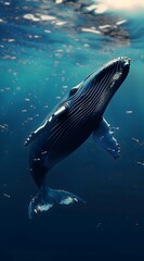 Greetings from paradise.