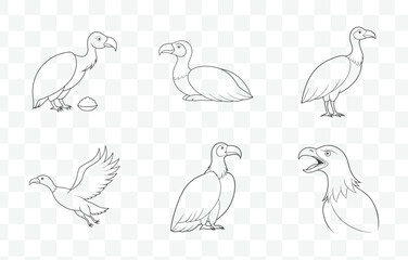 Print Condor Line Art Vector Collection with Detailed Illustrations for Creative Designs and Artistic Projects