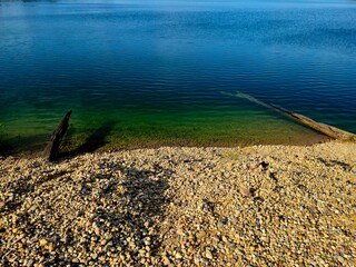 Widok, woda, słońce, wakacje, relaks, natura, drzewo w wodzie