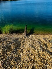 Widok, woda, słońce, wakacje, relaks, natura, drzewo w wodzie