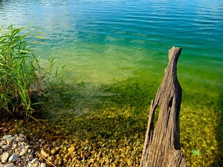 fence on the shoreWidok, woda, słońce, wakacje, relaks, natura, drzewo w wodzie