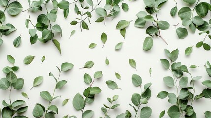 Botanical foliage on white backdrop