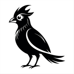 Vector Illustration Silhouette Beautiful Birds collection isolated on a white background