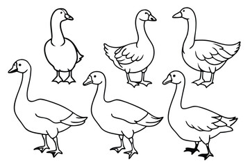 Goose line art illustration Design