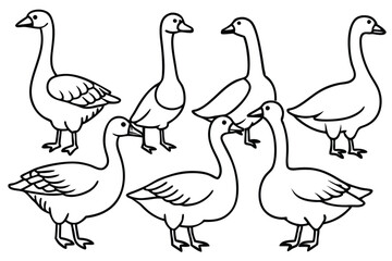 Goose line art illustration Design