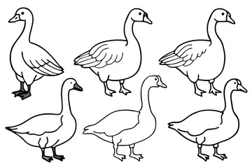 Goose line art illustration Design