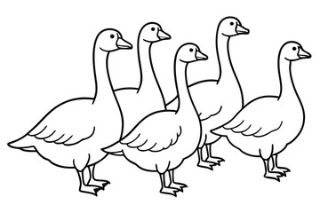 Goose line art illustration Design