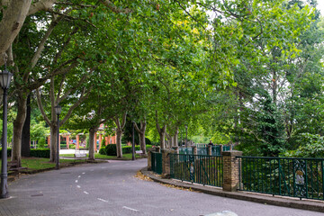alley in the park