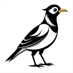 Vector Illustration Silhouette Beautiful Birds collection isolated on a white background