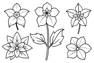Obraz premium Hellebore line art illustration Design Concepts