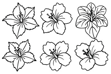 Obraz premium Hibiscus line art illustration Design Concepts
