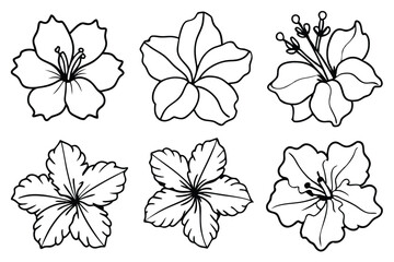 Hibiscus line art illustration Design Concepts