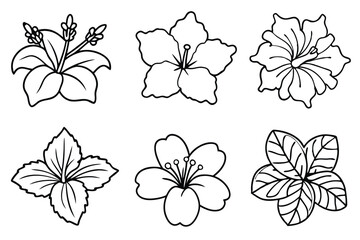 Obraz premium Hibiscus line art illustration Design Concepts