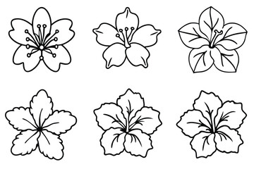 Hibiscus line art illustration Design Concepts