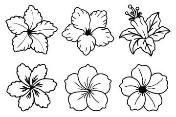 Obraz premium Hibiscus line art illustration Design Concepts