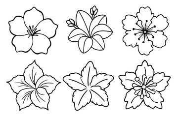 Obraz premium Hibiscus line art illustration Design Concepts