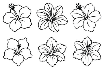 Hibiscus line art illustration Design Concepts