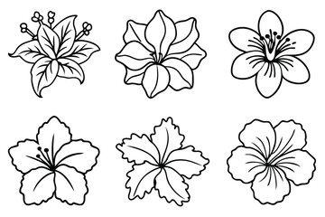 Obraz premium Hibiscus line art illustration Design Concepts