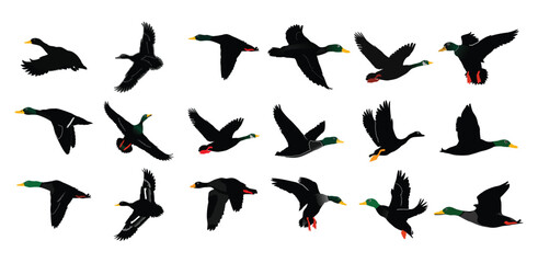 A group of ducks are flying in the open sky