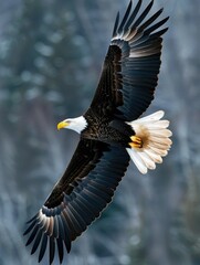 A bald eagle soaring above the surface of a lake or ocean