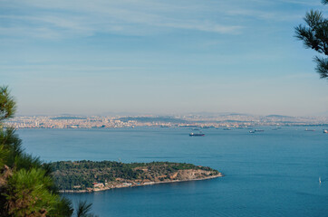 Fototapeta premium View of Istanbul skyline from Buyukada Island, with the sea and greenery in the foreground, under a blue sky