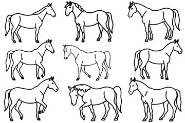 Horse line art illustration Design Concepts