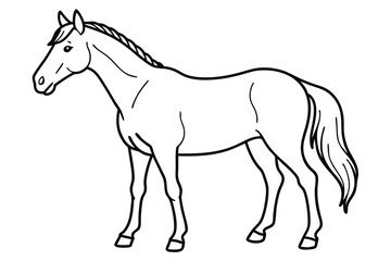 Obraz premium Horse line art illustration Design Concepts