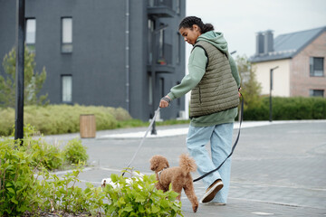 Rear view of teenage girl in casualwear looking at two purebred dogs while holding by leashes during morning stroll in urban environment