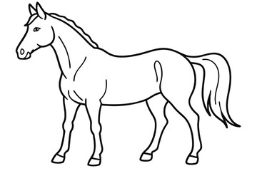 Horse line art illustration Design Concepts