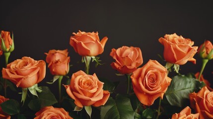 A bouquet of fresh orange roses arranged in a decorative vase, perfect for decorating or gifting