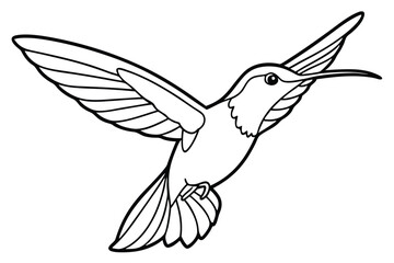 Hummingbird line art illustration Design Concepts