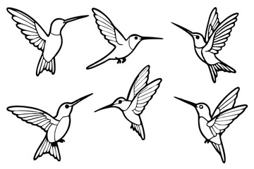 Hummingbird line art illustration Design Concepts