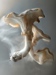 Fototapeta premium A cluster of mushrooms suspended in the air