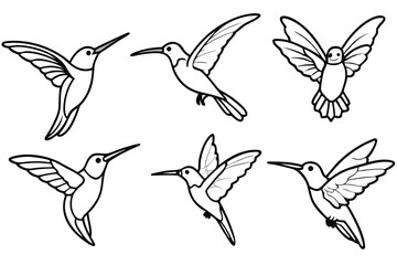 Hummingbird line art illustration Design Concepts