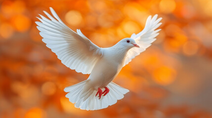 Fototapeta premium White Dove Flying Against Yellow and Blue Gradient